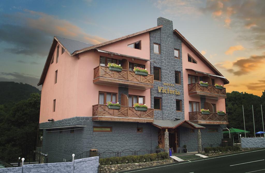 Hotel Victoria Bakuriani Exteriér fotografie